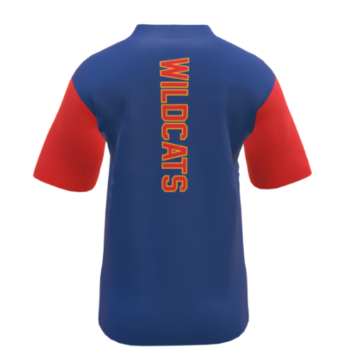 Wild Cats 1/4 Zip